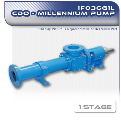 1F036G1L CDQ - Single Stage Heavy-Duty Progressive Cavity Pump